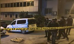 Dalton suç örgütü üyesi Gürcistan’dan Türkiye’ye giriş yaparken yakalandı