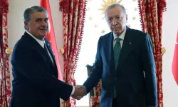 Serdal Adalı, Erdoğan’a pozisyonları izletmek istedi: Danışmanlar müdahale etti