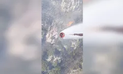 Antalya'da ormanlık alanda çıkan yangına müdahale ediliyor