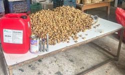 3 ton inciri lavabo açıcıyla beyazlatmışlar!