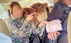 Adliyelerde yargı süreçlerine müdahale ettiği belirlenen 8 hakim ve avukat tutuklandı