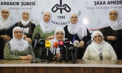 Barış Anneleri Ankara’ya gidecek: 'Meclis’te siyasi partilerle görüşüp Barış Nöbeti tutacağız'