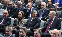 Fatih Altaylı: Erdoğan, zayıf siyasetçilerle kedinin fareyle oynadığı gibi oynuyor