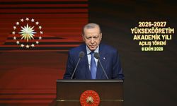 Cumhurbaşkanı Erdoğan: Yapay zeka emeği devre dışı bıraktı