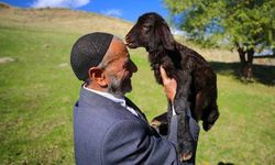 Çoban İlhan Orak kimdir?