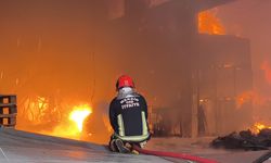Mersin'de tütün işleme tesisinde yangın