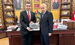 Harran Belediye Başkanı Mahmut Özyavuz hakkında '63 odalı malikane' iddiası