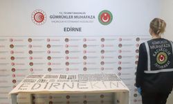 İpsala ve Kapıkule'de 7 bin 160 tarihi eser ele geçirildi