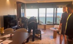 Uyuşturucu ve fuhuş operasyonunda gözaltına alınan 20 şüpheli serbest