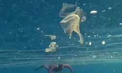 Antalya sahilleri yağışlar sonrası 'plastik çöplüğü'ne döndü!