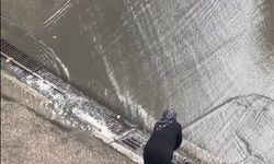 Yalova Valisi Usta’dan sağanakta mazgal temizleyen yaşlı vatandaşa ziyaret