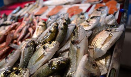 Her hafta balık yemenin vücudumuzda yarattığı değişimler