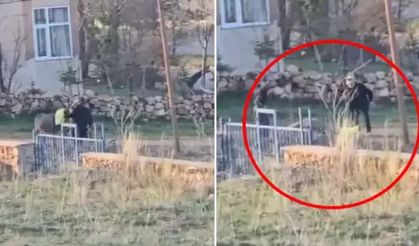 Sivas'ta eşeğe sopayla eziyet: Dövülen eşek hayatını kaybetti
