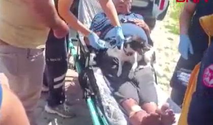 Kazada yaralanan sahibinin ambulansta da başından ayrılmadı