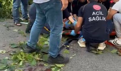 Ünlü oyuncunun üzerine ağaç devrildi: Ağır yaralanan oyuncunun görüntüleri ortaya çıktı
