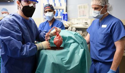 İstanbul'da son 10 yılda 187 başarılı kalp nakli yapıldı