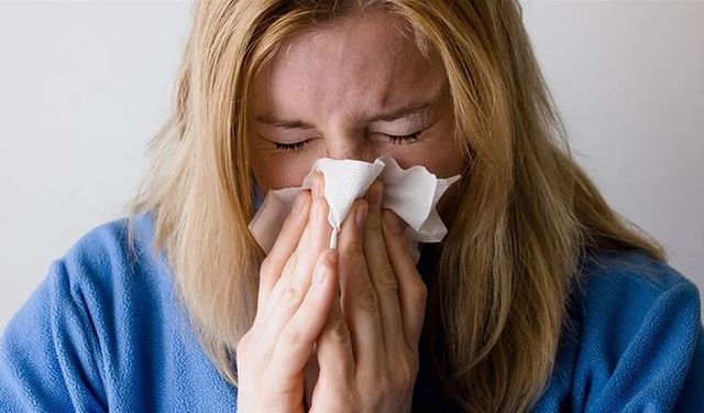 Türkiye için polen uyarısı! Normalin 250 katı birden geliyor