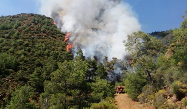 Marmaris'te orman yangını: Hava ve karadan müdahale sürüyor