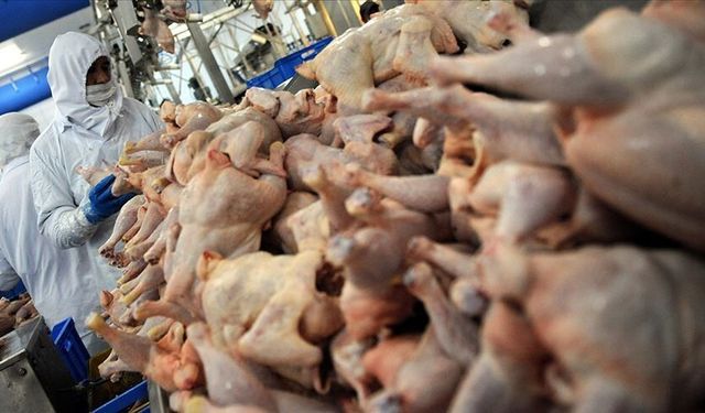 Beyaz ette fahiş fiyat artışı yapan marketlere 10 milyon lira ceza