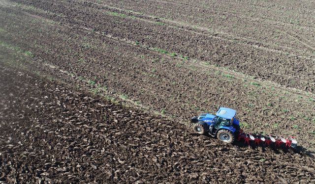 Türkiye'nin yüzde 88'i çölleşme riskiyle karşı karşıya