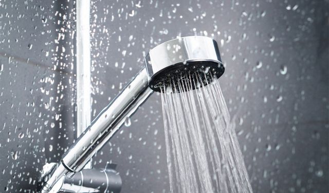 Akademisyenler duttan göz çevresi şampuanı hazırladı