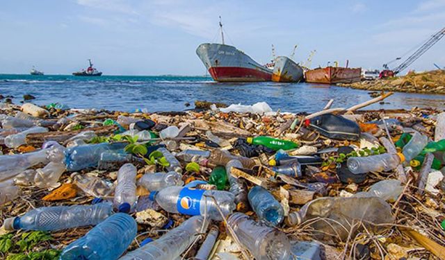 Plastik atıklar, çevre ve ekonomi için tehlike oluşturuyor