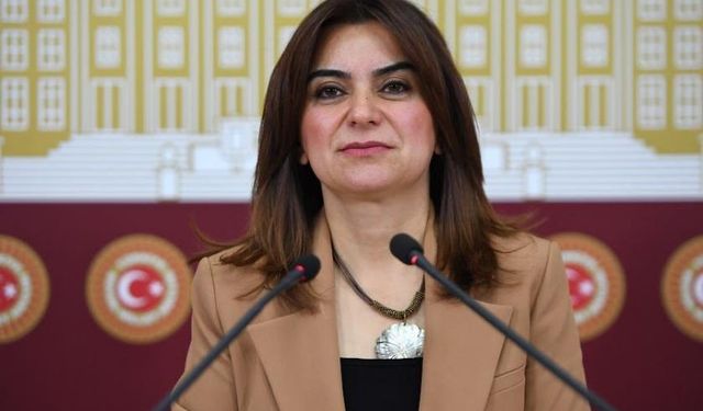 DEM Parti’li Koçyiğit’ten ‘Yenidoğan çetesi’ açıklaması: Türkiye çete devletine dönüştü