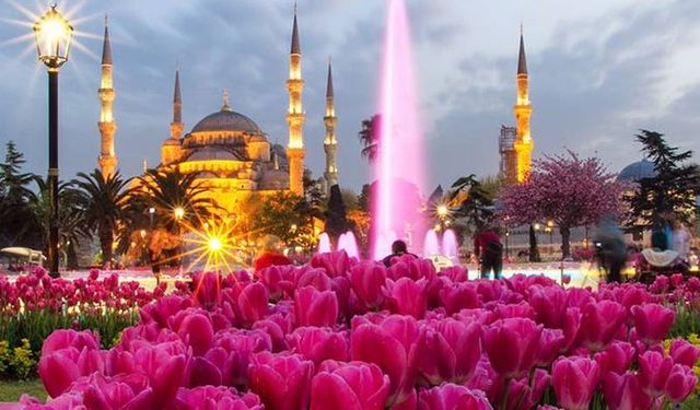 İstanbul'da Lale Bayramı'na özel 8 milyon çiçek ekildi