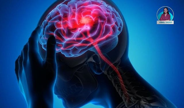 Beyinle ilgili bildiğimiz doğrular ve yanlışlar neler?