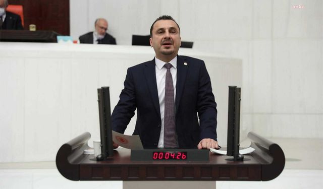 Başevirgen: Risk olan yurttaş değil, yoksulluğu yöneten politikalardır