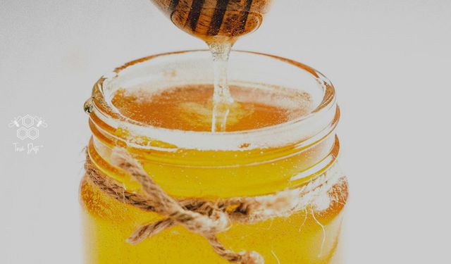 Balıkesir'de çam balı üretimi düştü, fiyatlar arttı