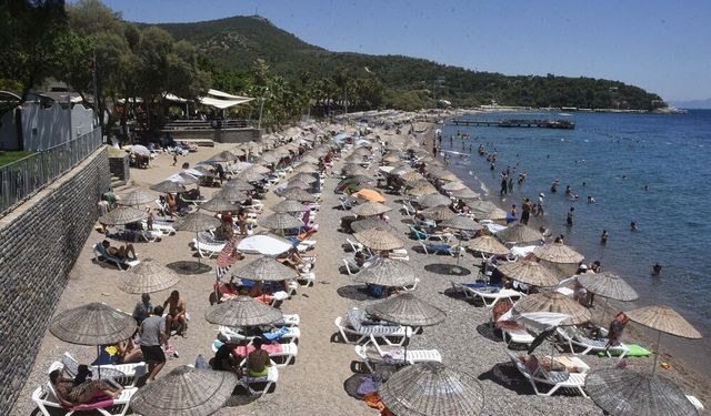 Deniz suyu sıcaklığı enfeksiyon riskini artırıyor