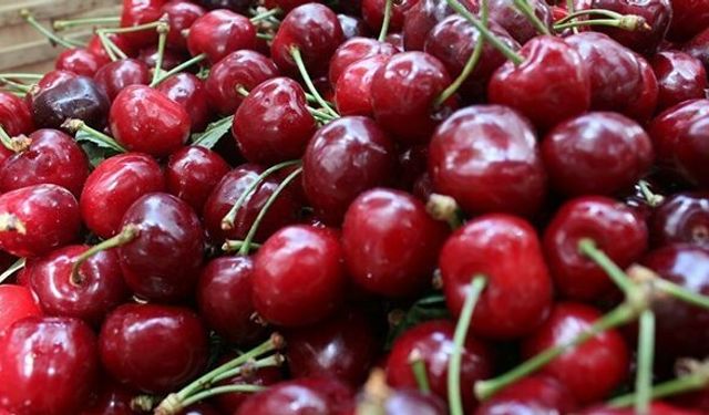 Manisa'da 10 dakikada 2 kilo 592 gram kiraz yiyen yarışmacı birinci oldu