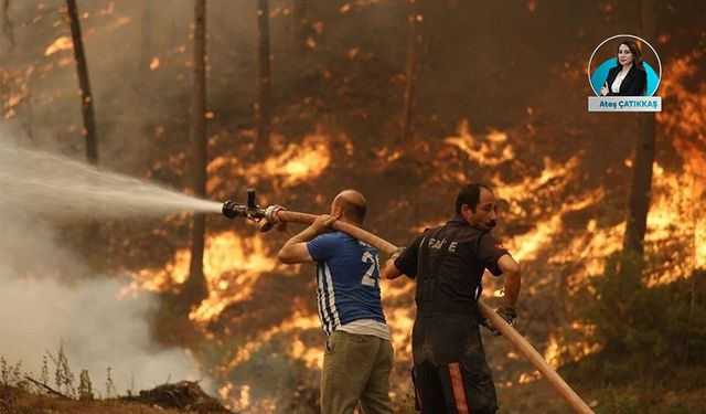 Sıcaklıklarla birlikte orman yangınları başladı: Yangınları önlemek için neler yapılmalı?