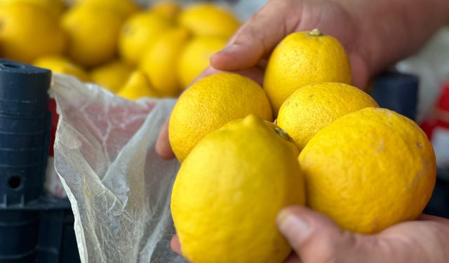 Limonda hal-market makası 10 katı aştı