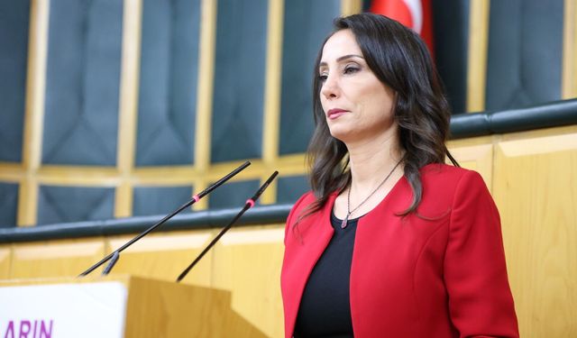 Hatimoğulları: Daha fazla kan akmasın, artık yeter! Çerçeve yasa parlamentoya gelmeli