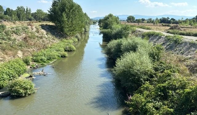 Bolu'da dereyi kirleten beyaz et firmasına 3. kez ceza