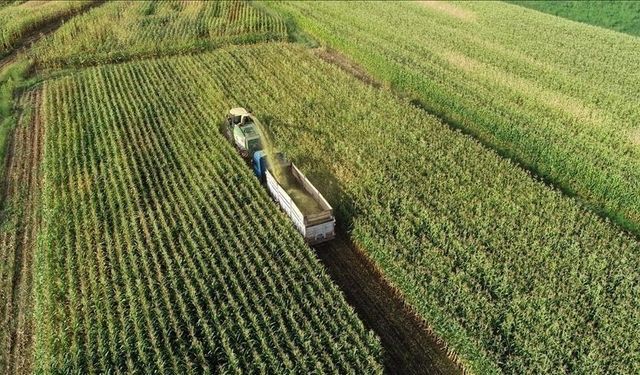 Tarımsal destekleme ödemeleri hesaplara aktarılıyor