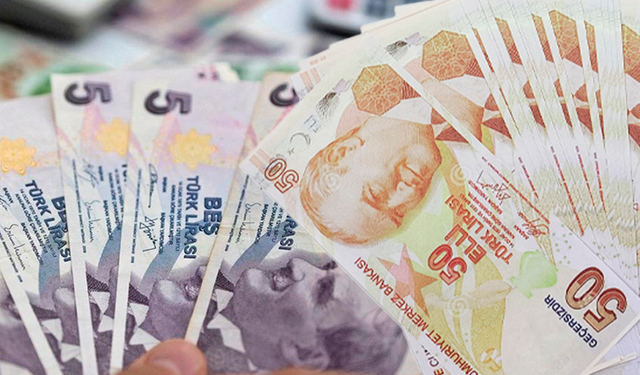 Yeni 5 ve 50 TL'lik banknotlar bugün tedavüle çıkıyor