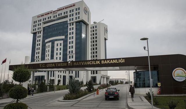 Dana kavurmada eşek eti çıktı