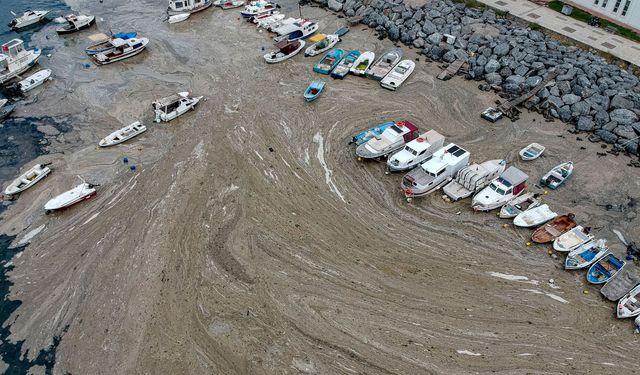 Marmara’da müsilaj: 55 tesis kapatıldı