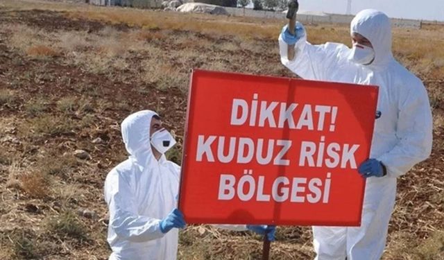 Ardahan'da sığırda kuduz virüsü tespit edildi
