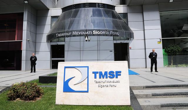 Bankalarda unutulan 732,1 milyon TL TMSF'ye aktarıldı