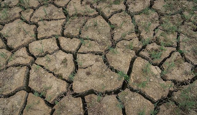 Ege'de şubat ayı yağışları yüzde 74 azaldı