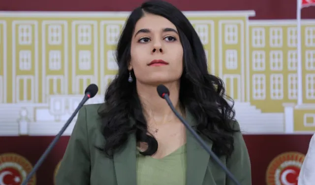 DEM Parti'li Altın, öğrencilere bir öğün ücretsiz yemek istedi