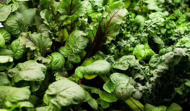 K vitamini eksikliği bilişsel gerilemeye neden oluyor