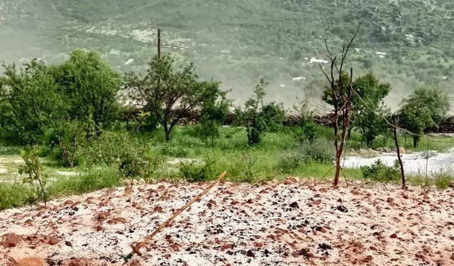 Diyarbakır’da dolu: “20 dakika yağdı emeğimizi aldı götürdü”