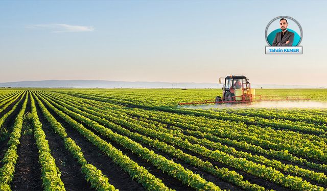 Tarım yazarı Mine Ataman: Çiftçilik sanki amme hizmetiymiş gibi görülüyor