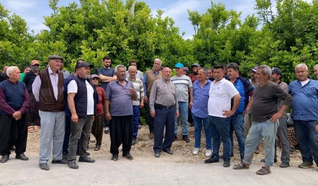 Mersin Mezitli’de ağaç nöbeti