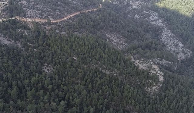 Denizli’de yangın önlemi: Ormanlık alana girişler yasaklandı